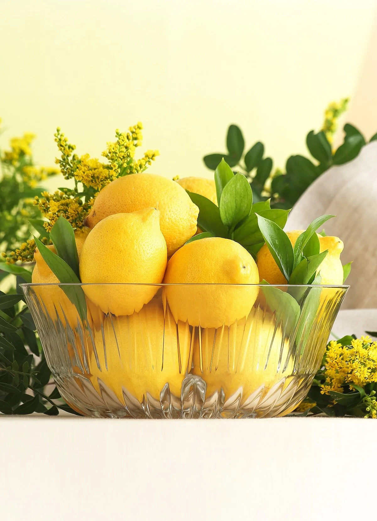 Alinda Cam Salata Kasesi