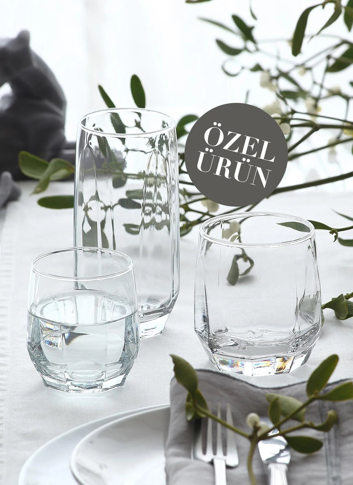 Diamond Cam Bardak Seti