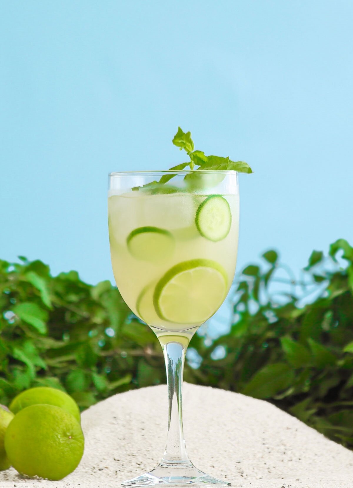 Tokyo Cam Kırmızı Şarap Kadehi