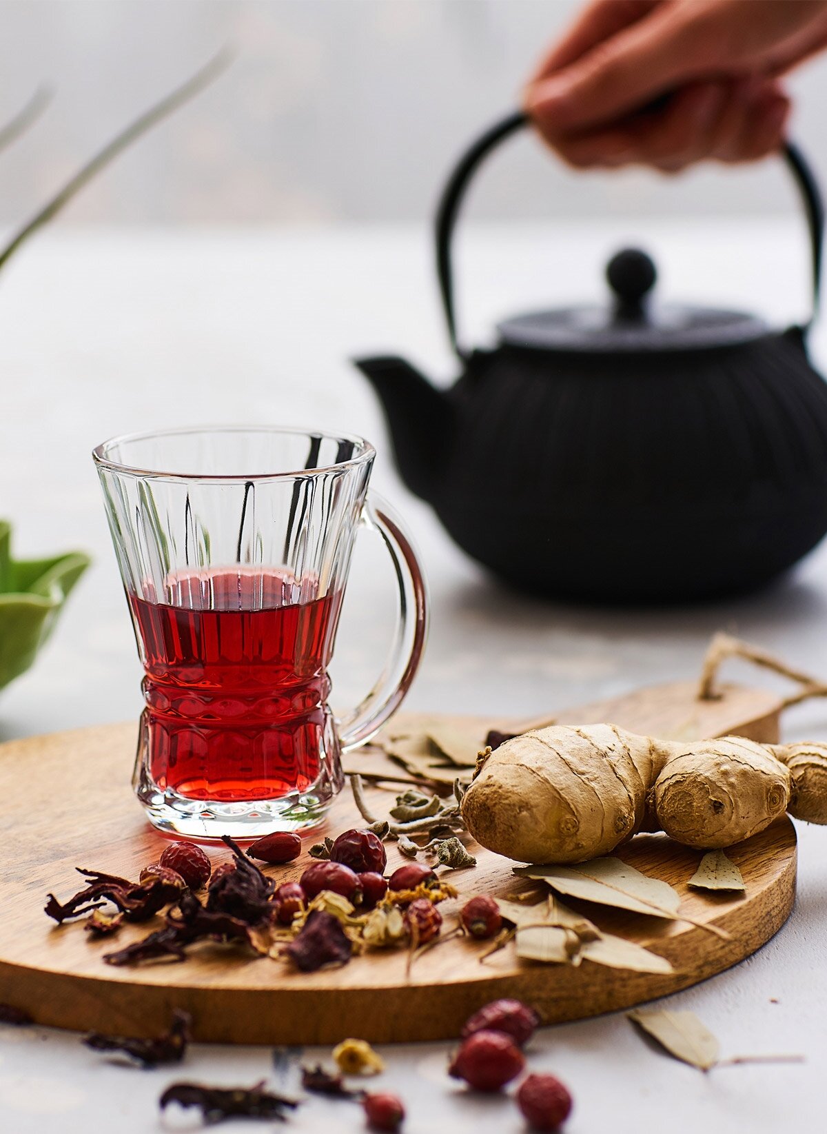 Venüs Cam Kulplu Çay Bardağı